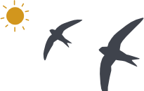 Illustration proposer un outil