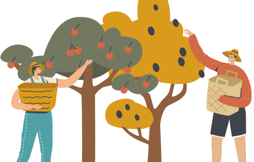 Illustration proposer un outil